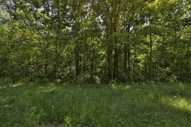 $114,900 | Tract C Olander Road, Crosby, MN 56441