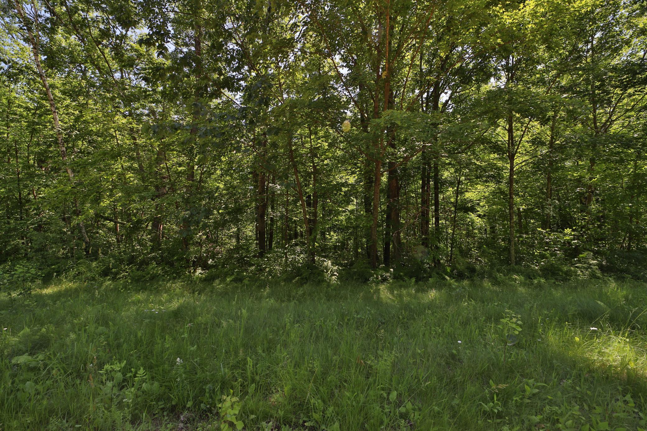 Tract C Olander Road Crosby, MN 56441 - Photo 7 of 12