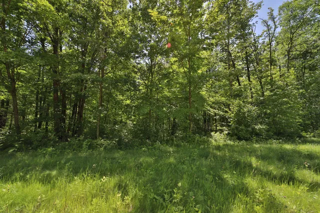 $114,900 | Tract C Olander Road, Crosby, MN 56441