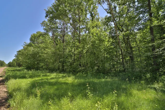 $114,900 | Tract C Olander Road, Crosby, MN 56441