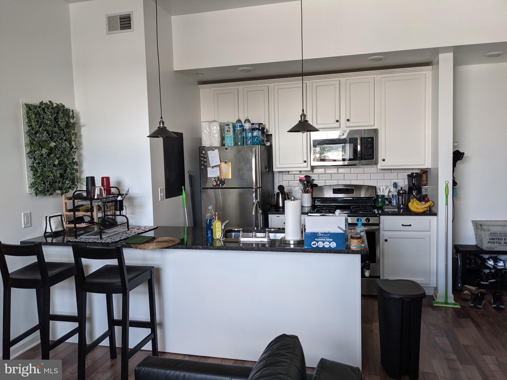 333 Earp Street, Unit 302 Philadelphia, PA 19147 - Photo 1 of 8