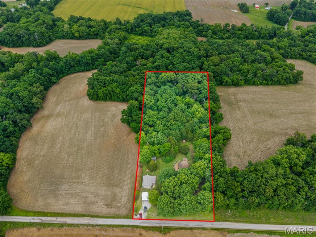 12042 Dutch Ashley, IL 62808 - Photo 34 of 45