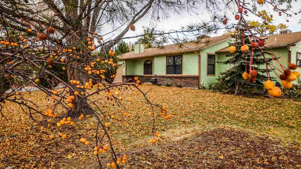 582 31 Road Grand Junction, CO 81504 - Photo 32 of 40 Gallery Image 32