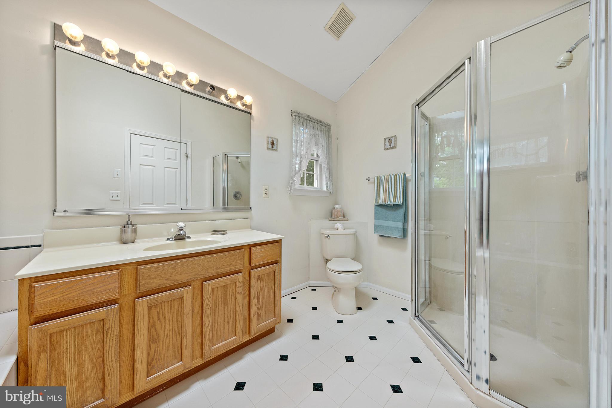 249 Topside Road Manahawkin, NJ 08050 - Photo 39 of 49 a bathroom with a sink a toilet a mirror and shower