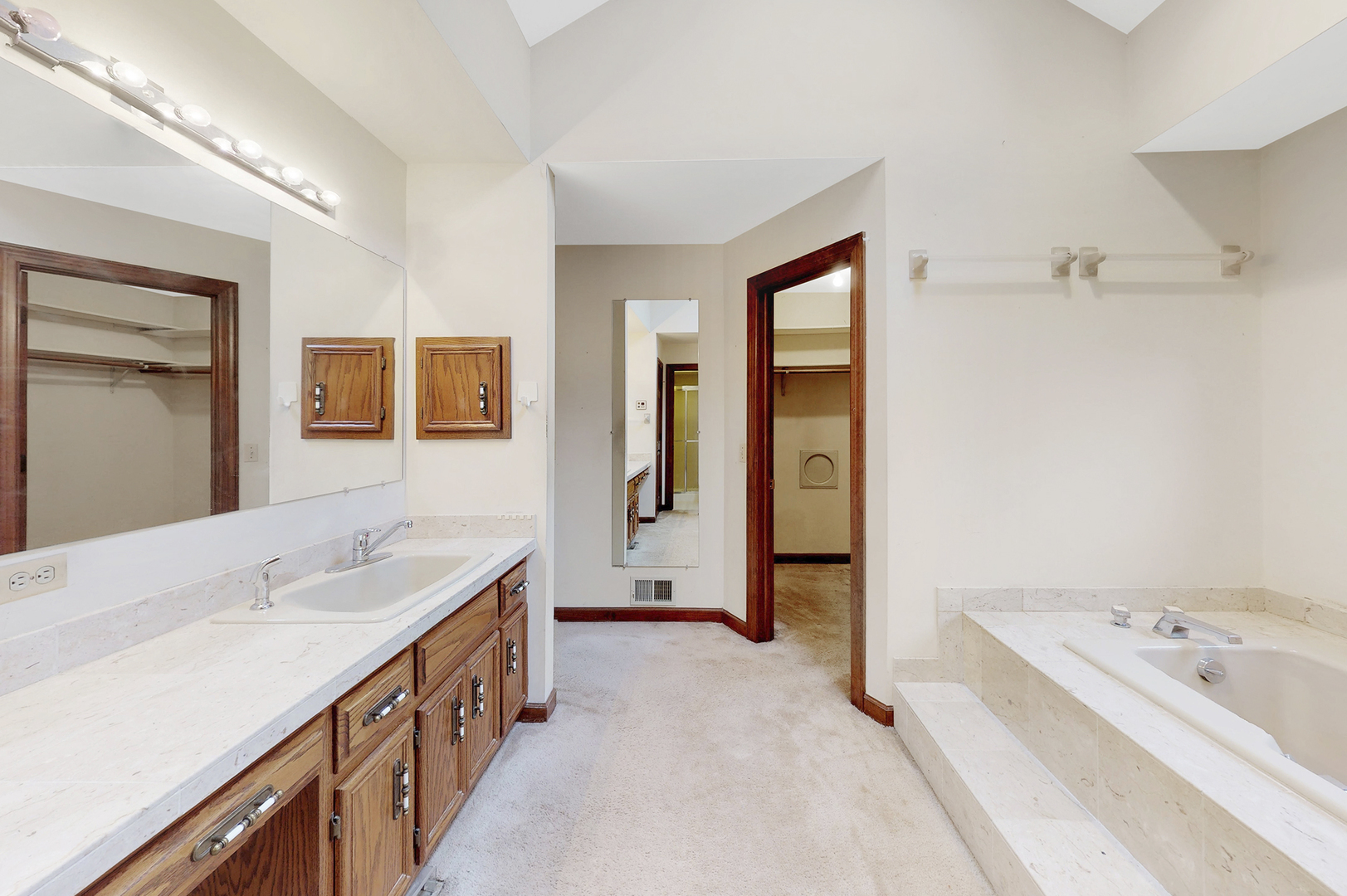 8282 Lake Ridge Drive Burr Ridge, IL 60527 - Photo 19 of 37 a bathroom with a tub a double vanity sink and mirror