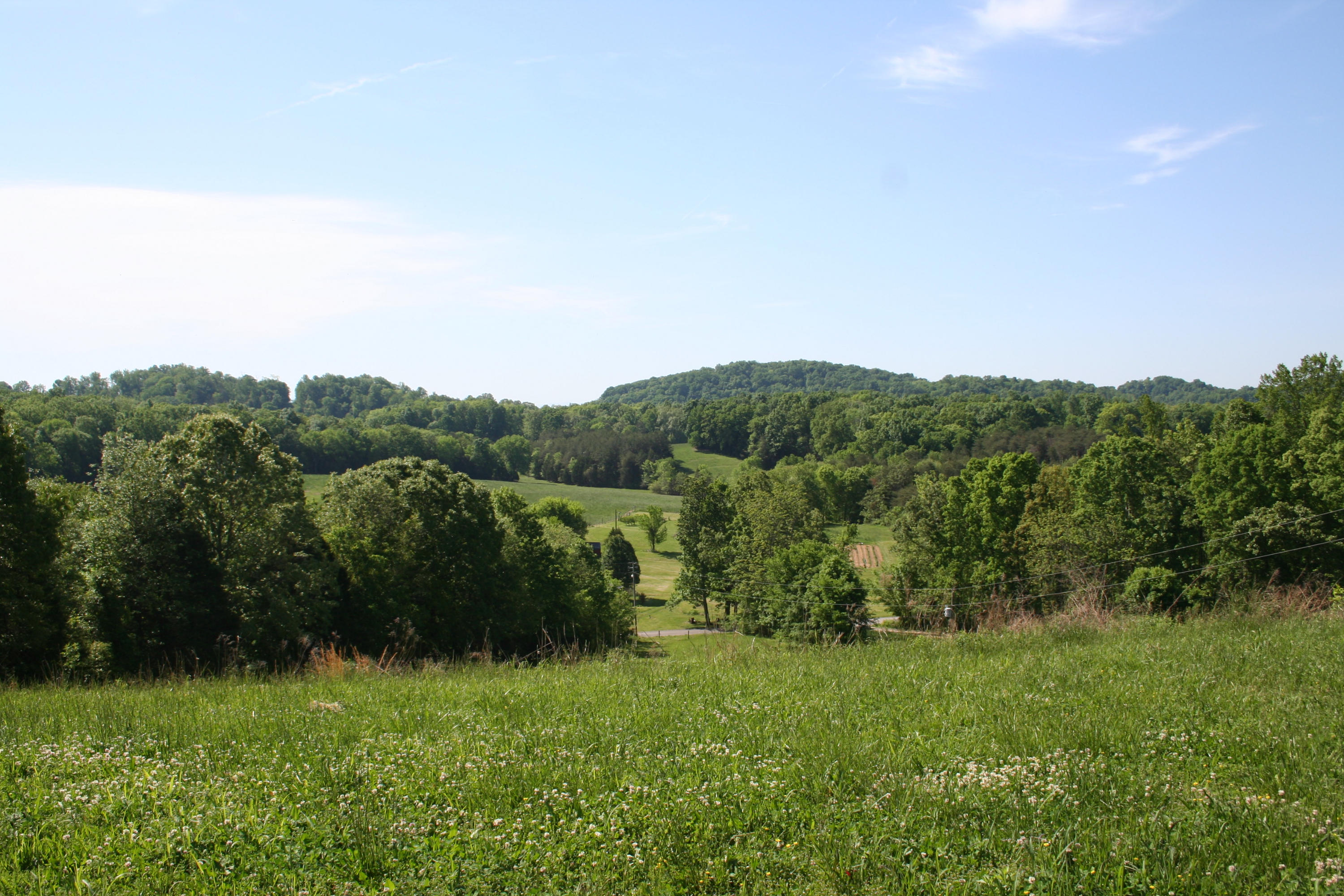 2015 Mayo Road Loudon, TN 37774 - Photo 13 of 30 IMG_6242