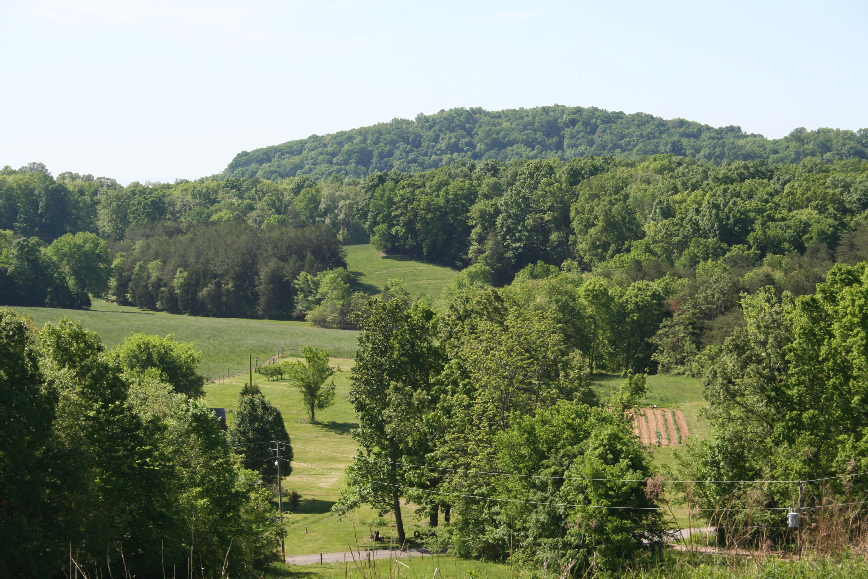 2015 Mayo Road Loudon, TN 37774 - Photo 14 of 30 IMG_6243