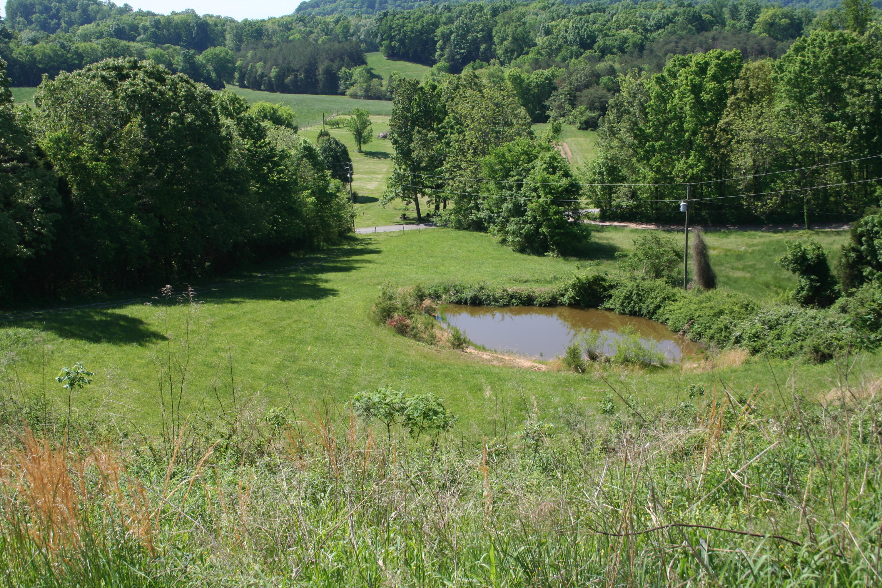 2015 Mayo Road Loudon, TN 37774 - Photo 29 of 30 IMG_6258