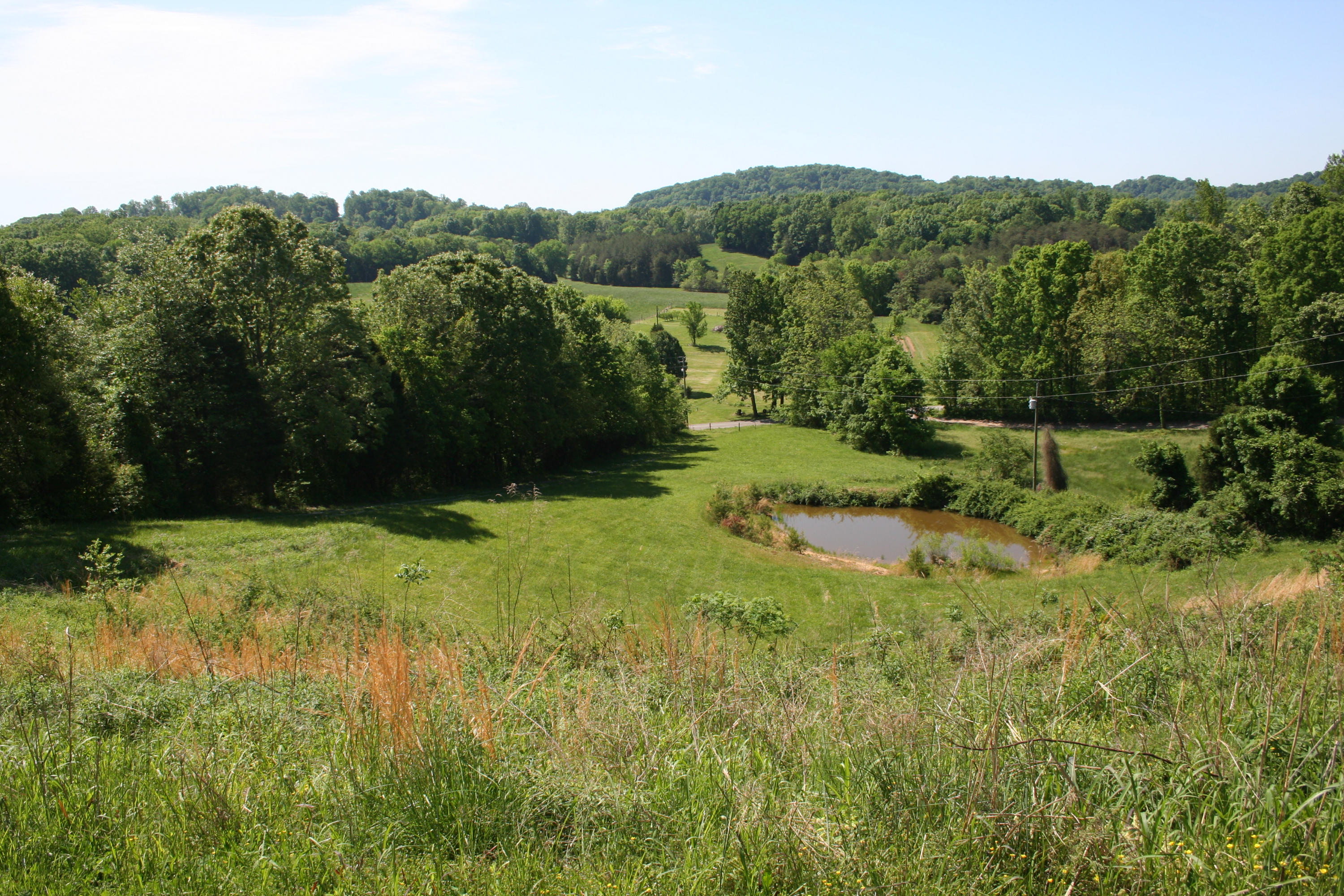 2015 Mayo Road Loudon, TN 37774 - Photo 30 of 30 IMG_6259