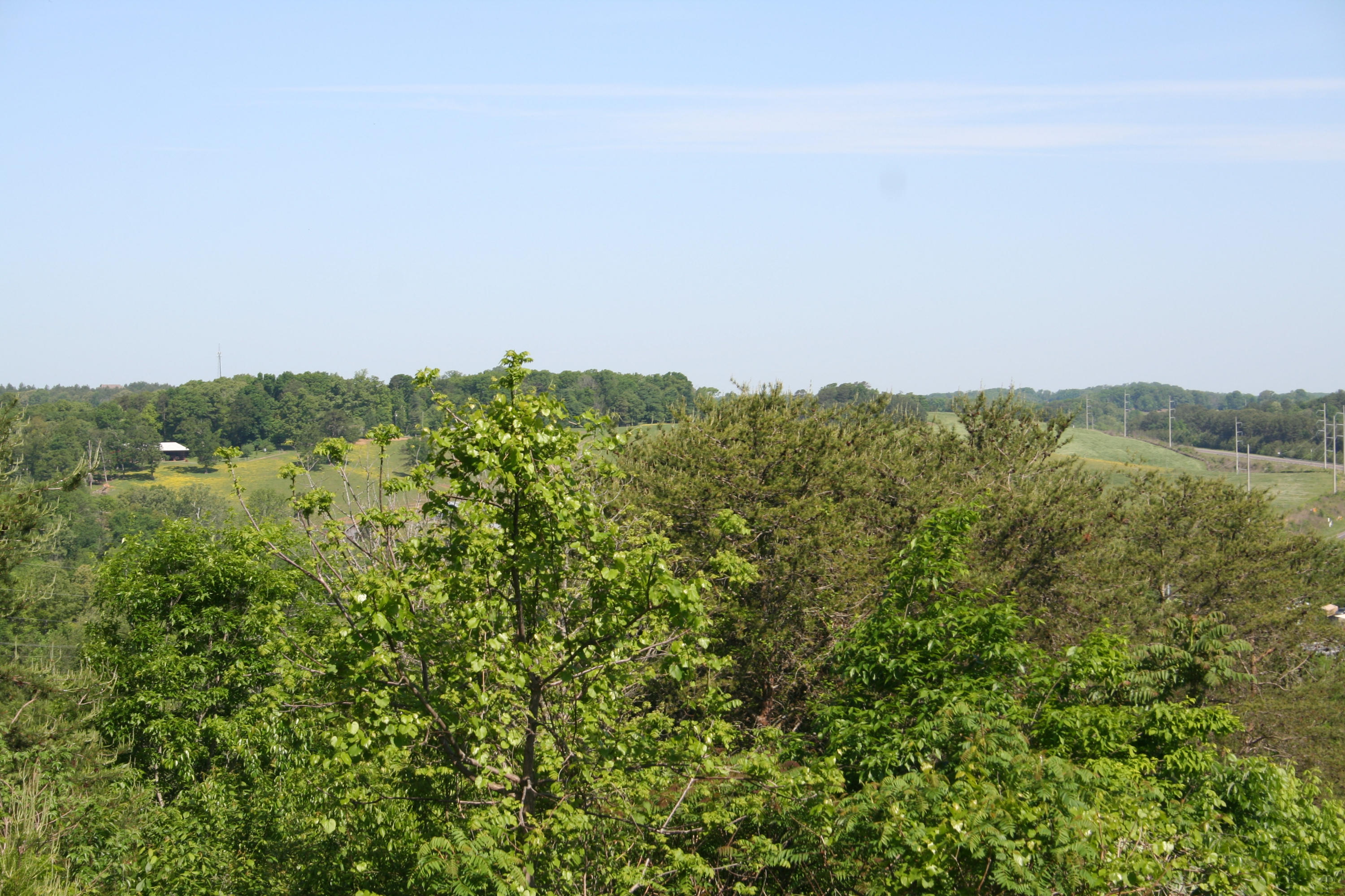 2015 Mayo Road Loudon, TN 37774 - Photo 6 of 30 IMG_6236