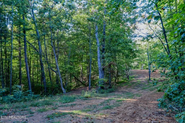 $48,000 | 142 Delicious Way, Newport, TN 37821