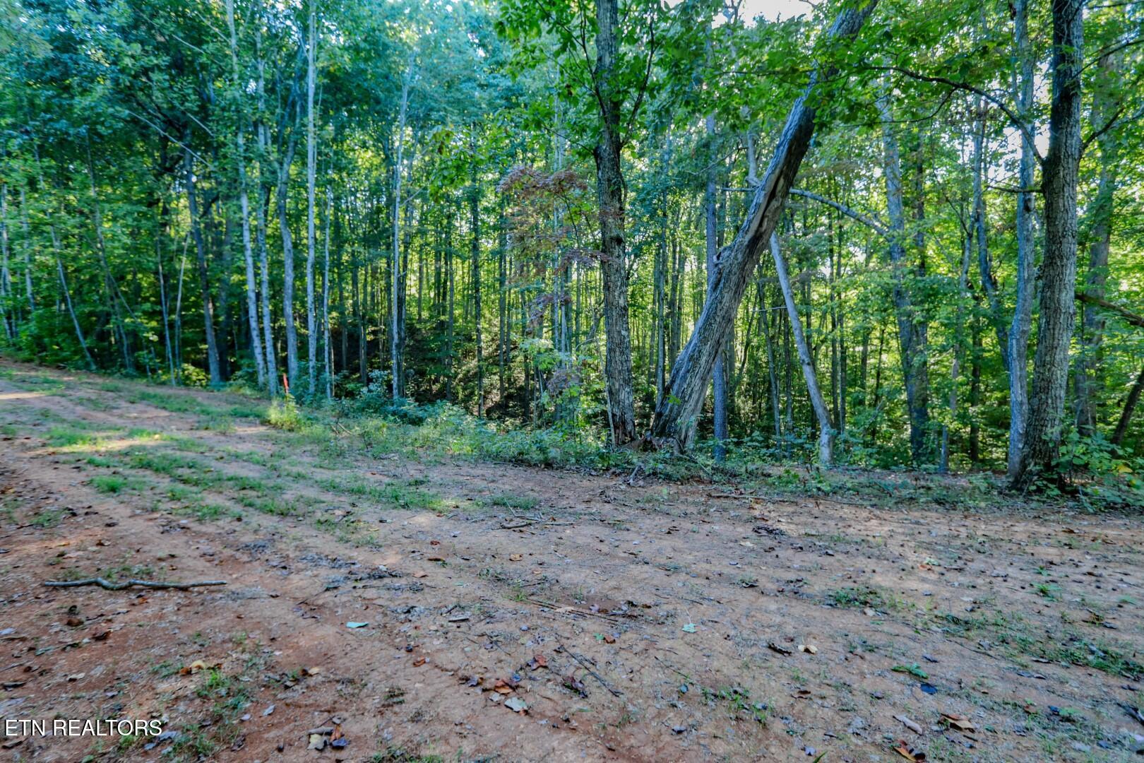 142 Delicious Way Newport, TN 37821 - Photo 12 of 27 12 (Large)