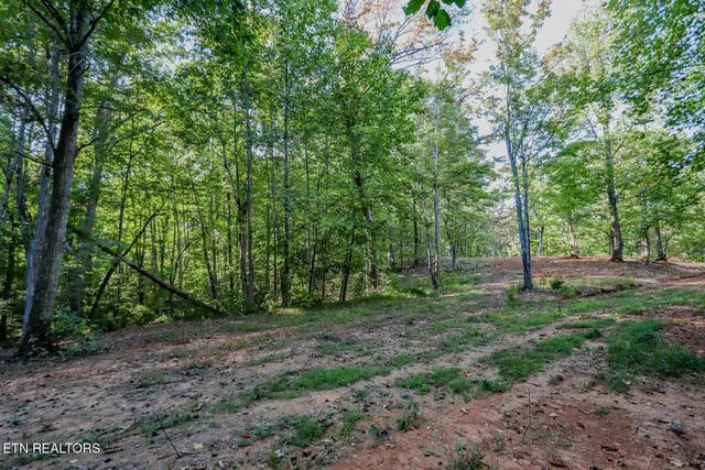 $48,000 | 142 Delicious Way, Newport, TN 37821