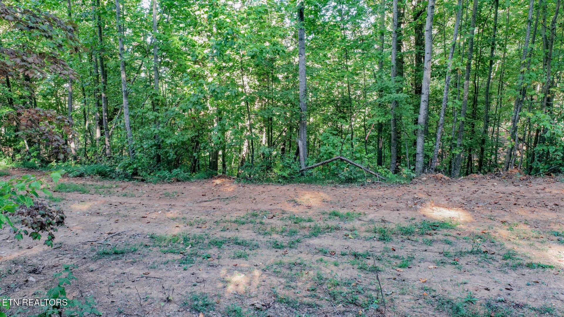 142 Delicious Way Newport, TN 37821 - Photo 16 of 27 16