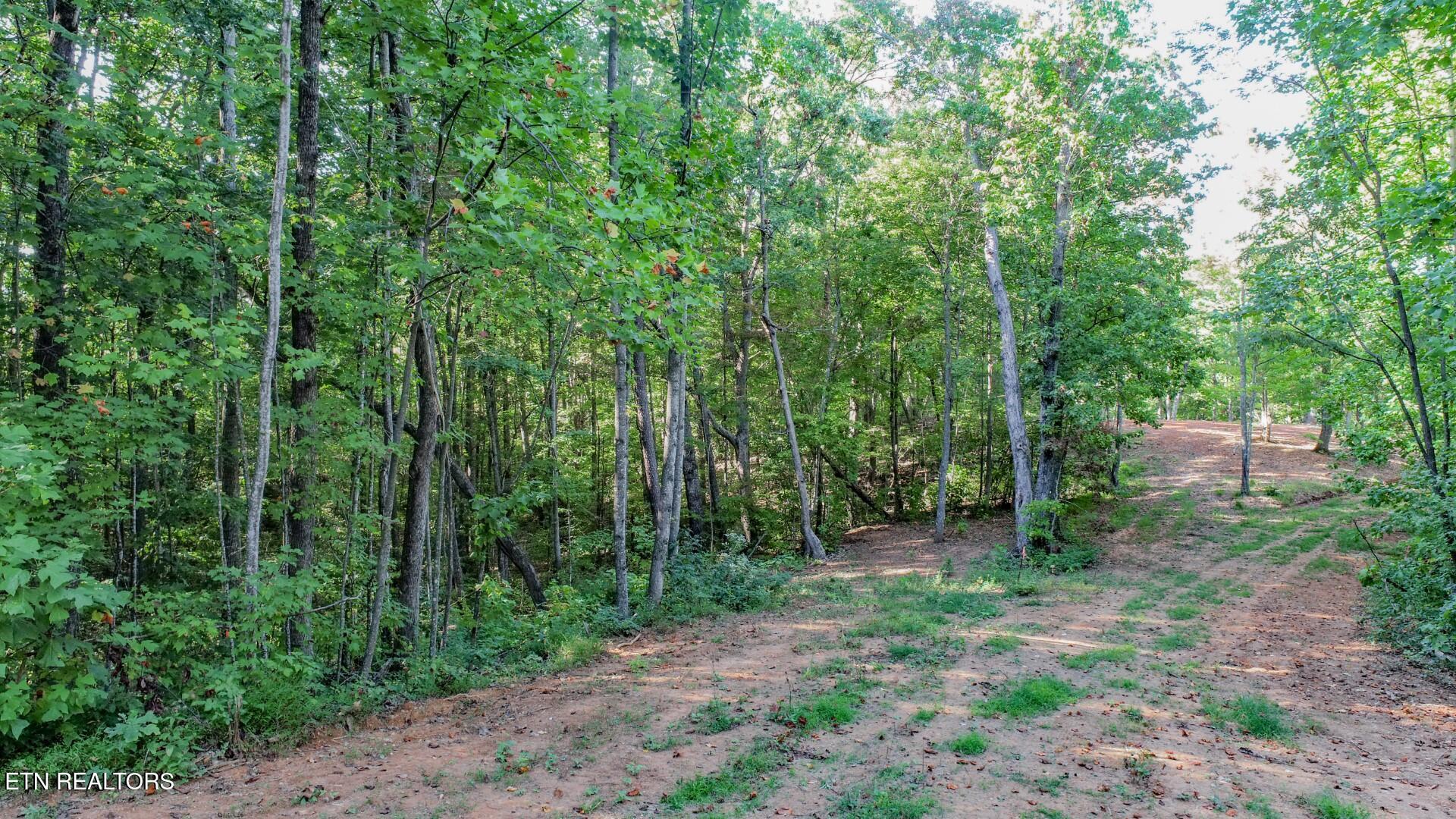 142 Delicious Way Newport, TN 37821 - Photo 18 of 27 18