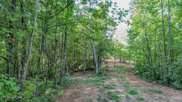 $48,000 | 142 Delicious Way, Newport, TN 37821