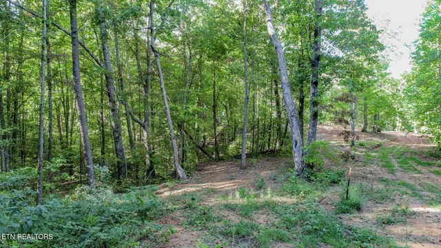 $48,000 | 142 Delicious Way, Newport, TN 37821