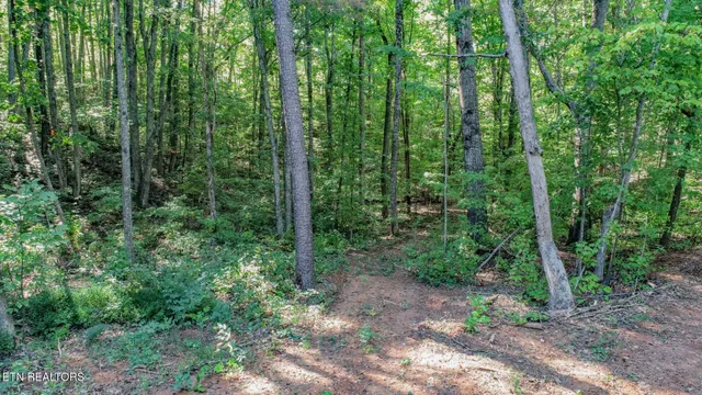 $48,000 | 142 Delicious Way, Newport, TN 37821