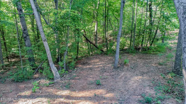 $48,000 | 142 Delicious Way, Newport, TN 37821