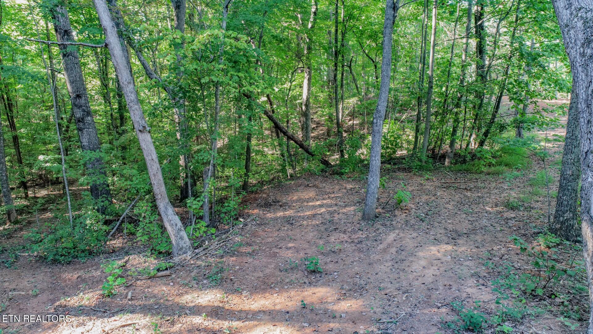 142 Delicious Way Newport, TN 37821 - Photo 22 of 27 22