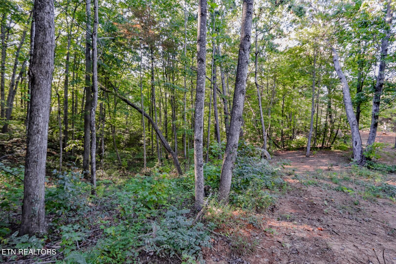 142 Delicious Way Newport, TN 37821 - Photo 23 of 27 23