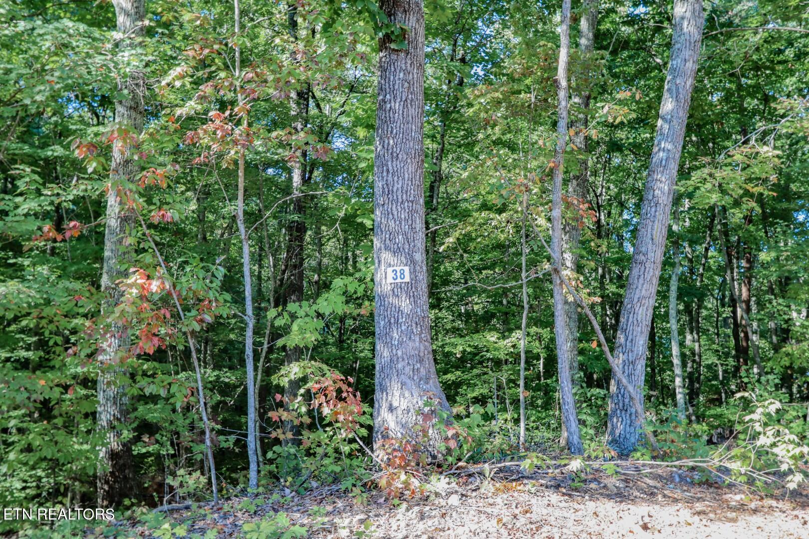 142 Delicious Way Newport, TN 37821 - Photo 24 of 27 24