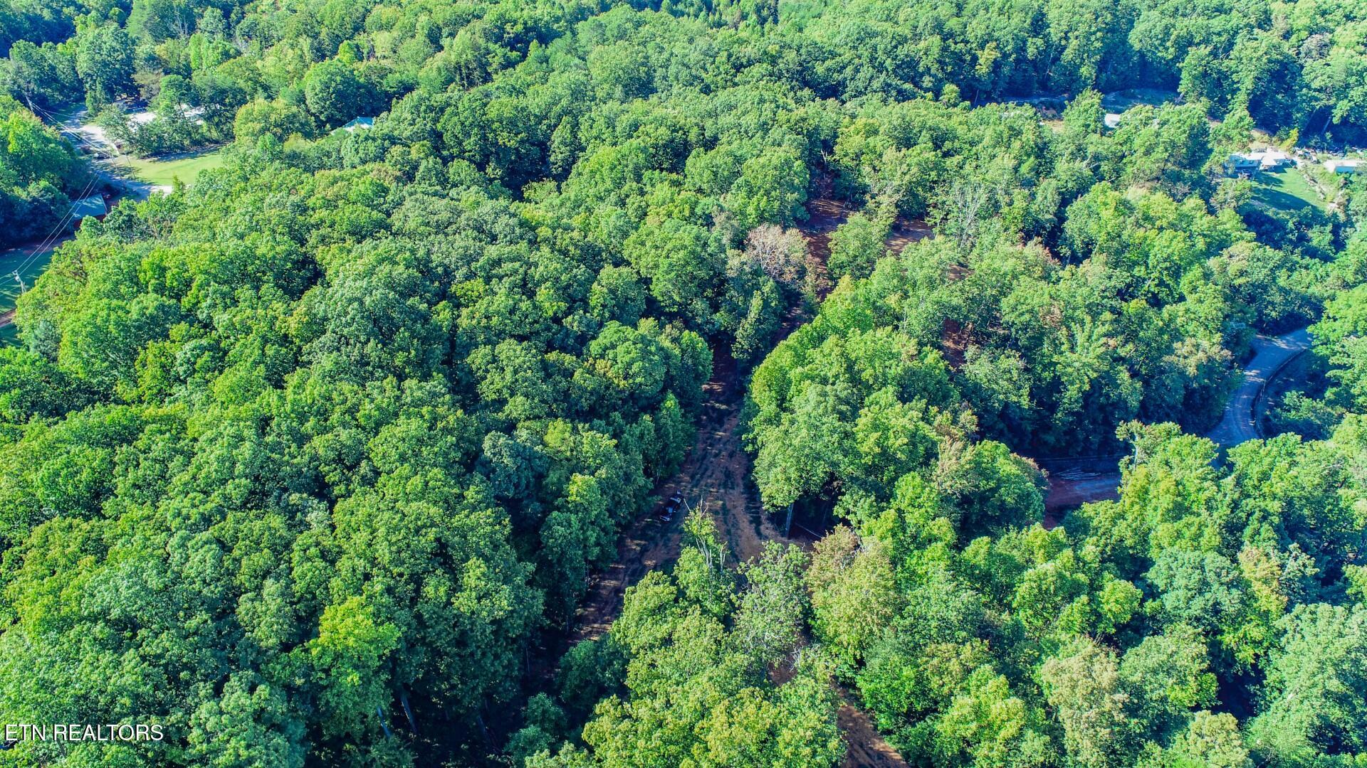 142 Delicious Way Newport, TN 37821 - Photo 5 of 27 5