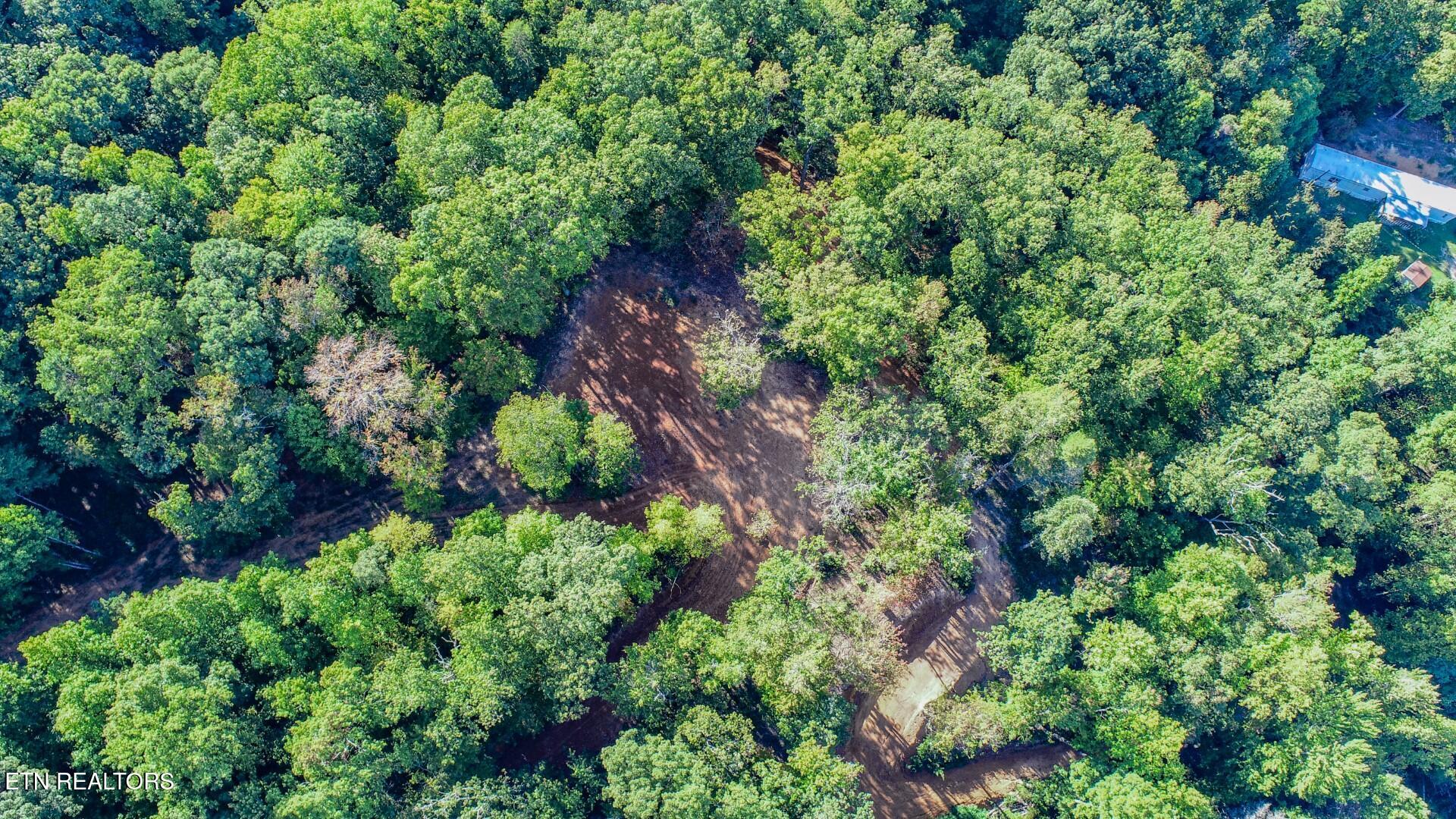 142 Delicious Way Newport, TN 37821 - Photo 7 of 27 7