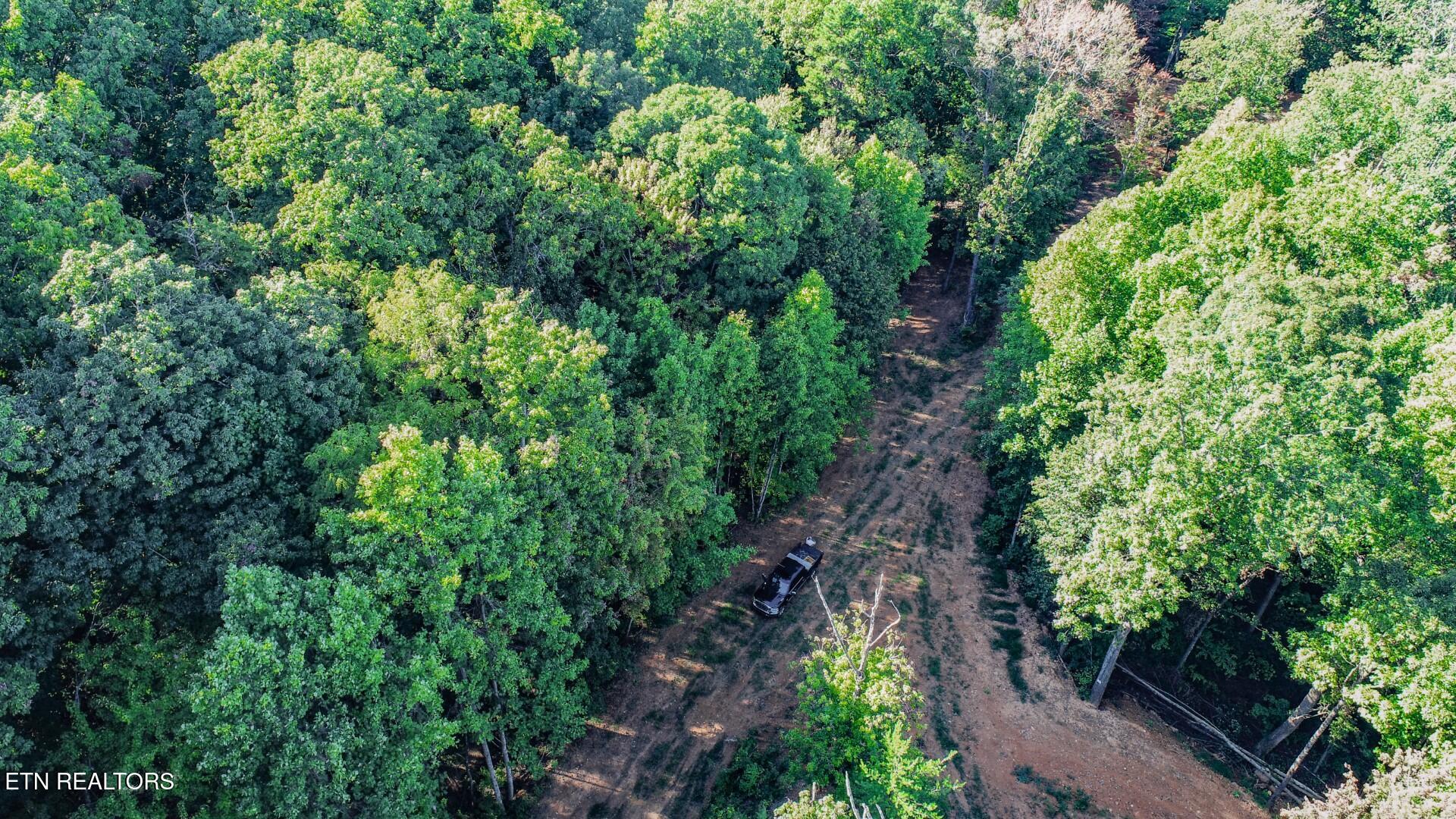 142 Delicious Way Newport, TN 37821 - Photo 8 of 27 8