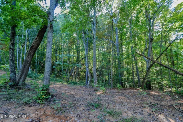 $48,000 | 142 Delicious Way, Newport, TN 37821