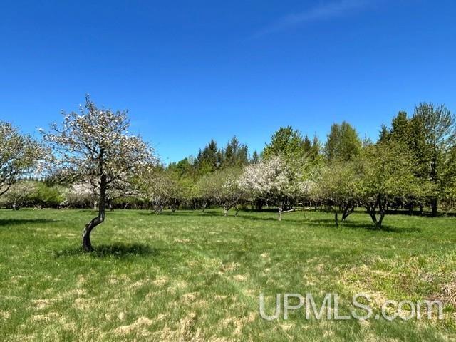 Tbd Tbd Bellaire Road Baraga, MI 49908 - Photo 32 of 49