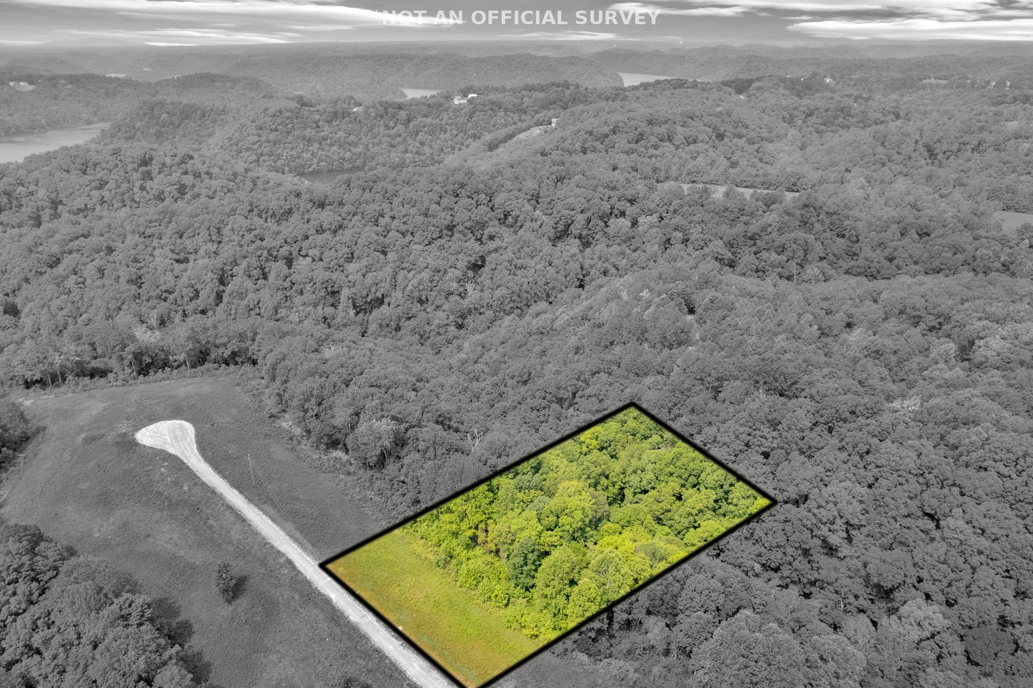 0 H O H O Allison Road Baxter, TN 38544 - Photo 3 of 12 a view of a yard