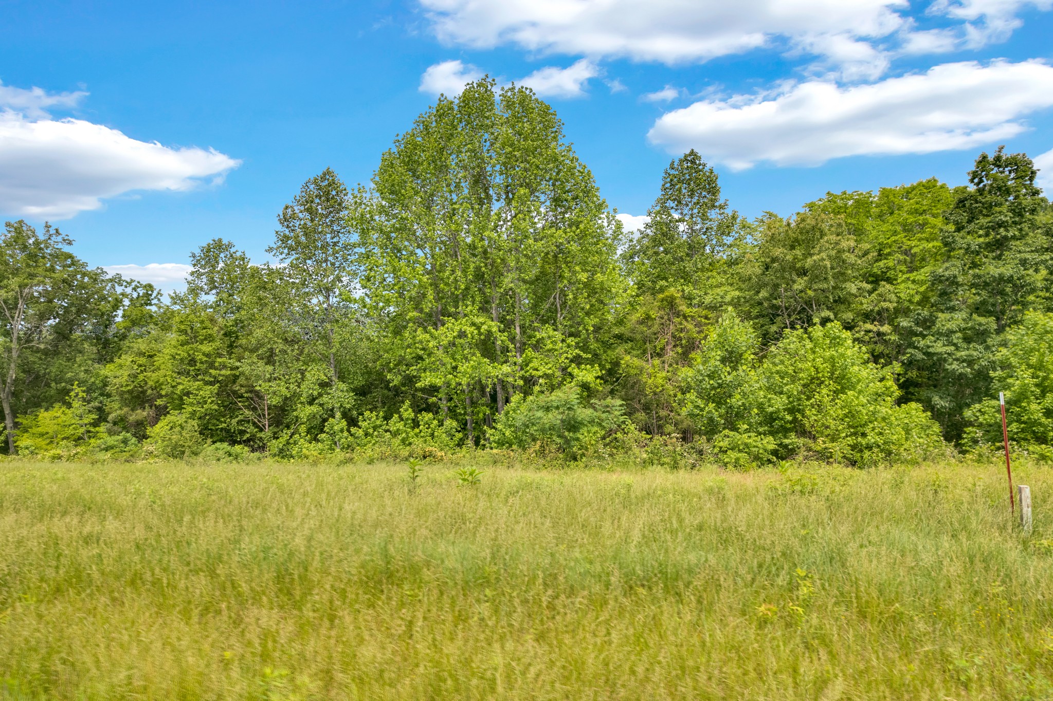 0 H O H O Allison Road Baxter, TN 38544 - Photo 5 of 12 a view of a yard with an outdoor space