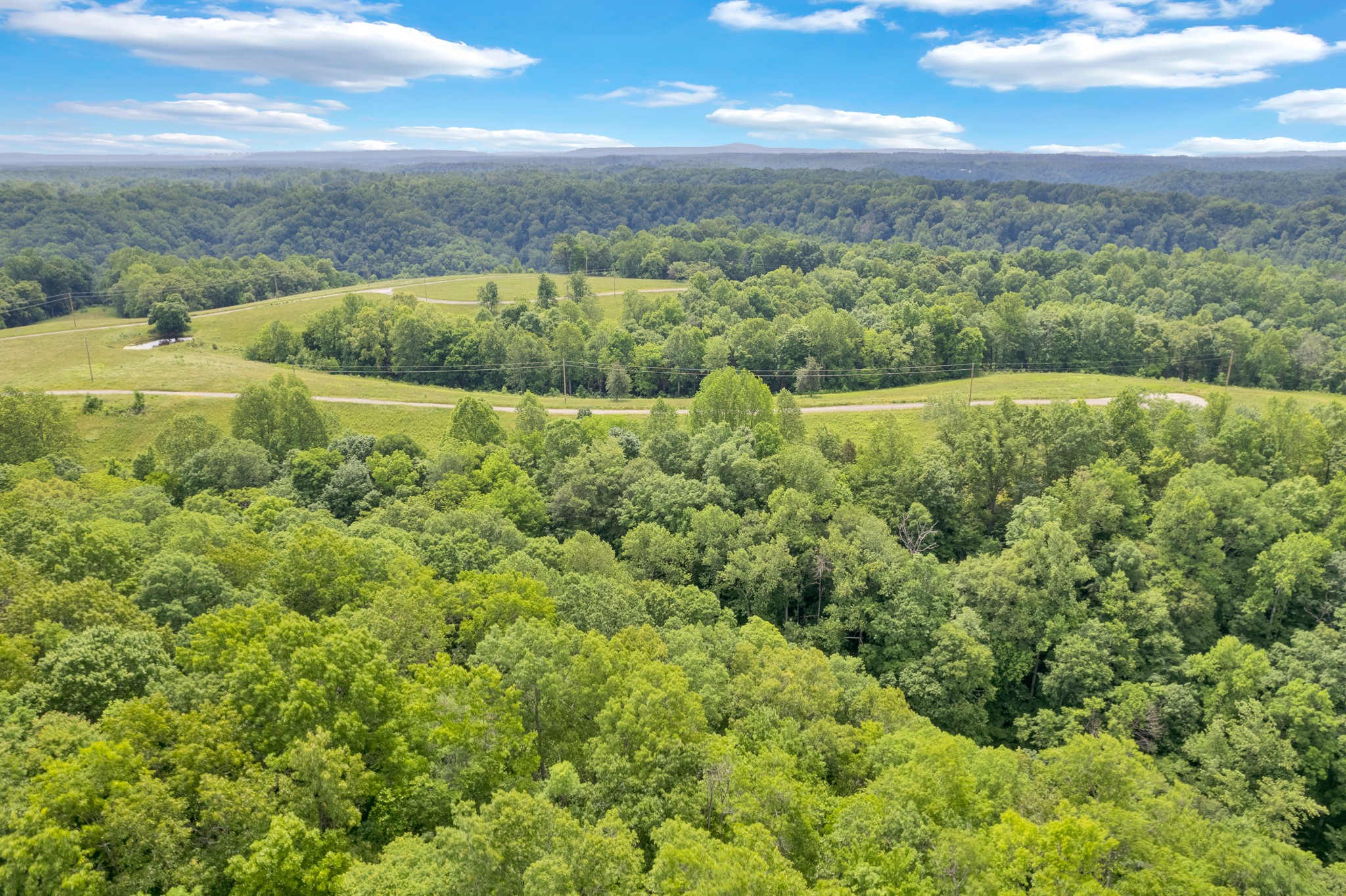 0 H O H O Allison Road Baxter, TN 38544 - Photo 6 of 12 a view of a garden with an outdoor space