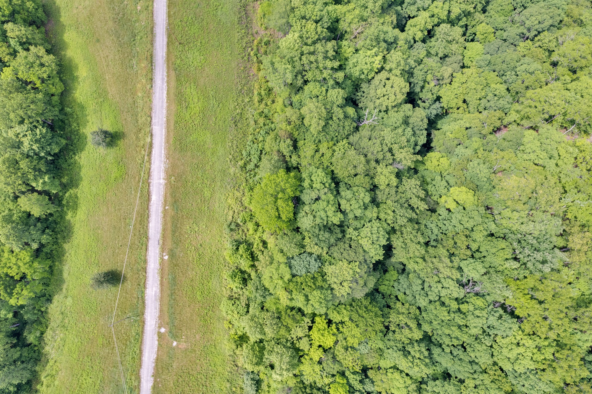 0 H O H O Allison Road Baxter, TN 38544 - Photo 7 of 12