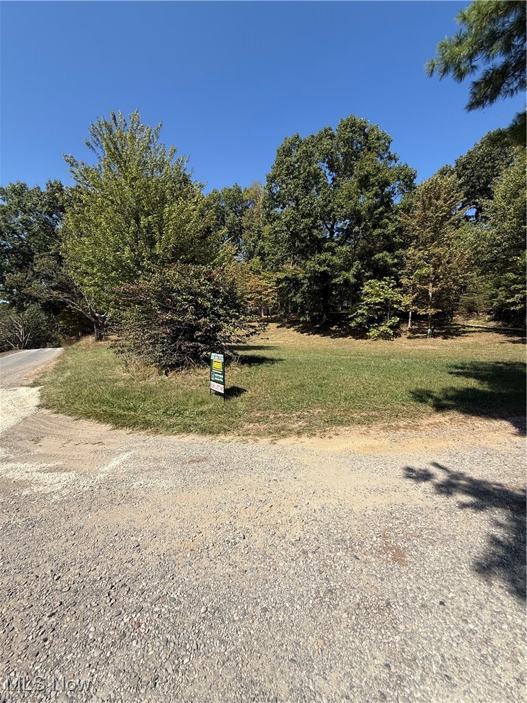 Deer Road Southwest Bowerston, OH 44695 - Photo 2 of 6 View of yard