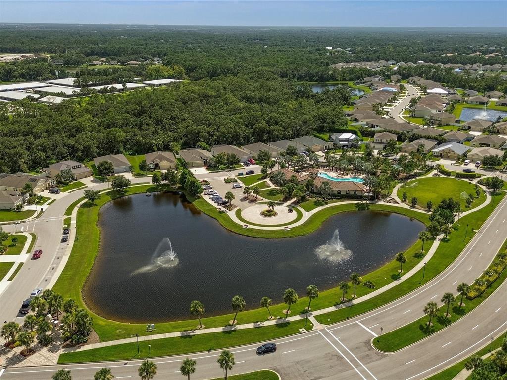 14907 Trinity Fall Way Bradenton, FL 34212 - Photo 42 of 52