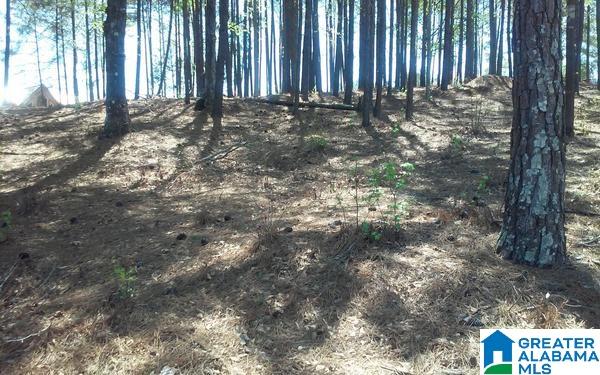 240 County Road, Unit 4 Wedowee, AL 36278 - Photo 9 of 10