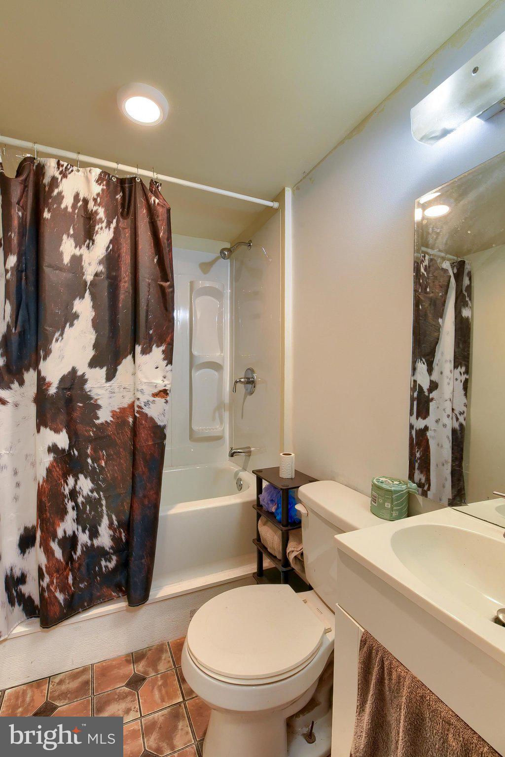 3740 Beagle Road Middletown, PA 17057 - Photo 67 of 70 a bathroom with a sink toilet and shower