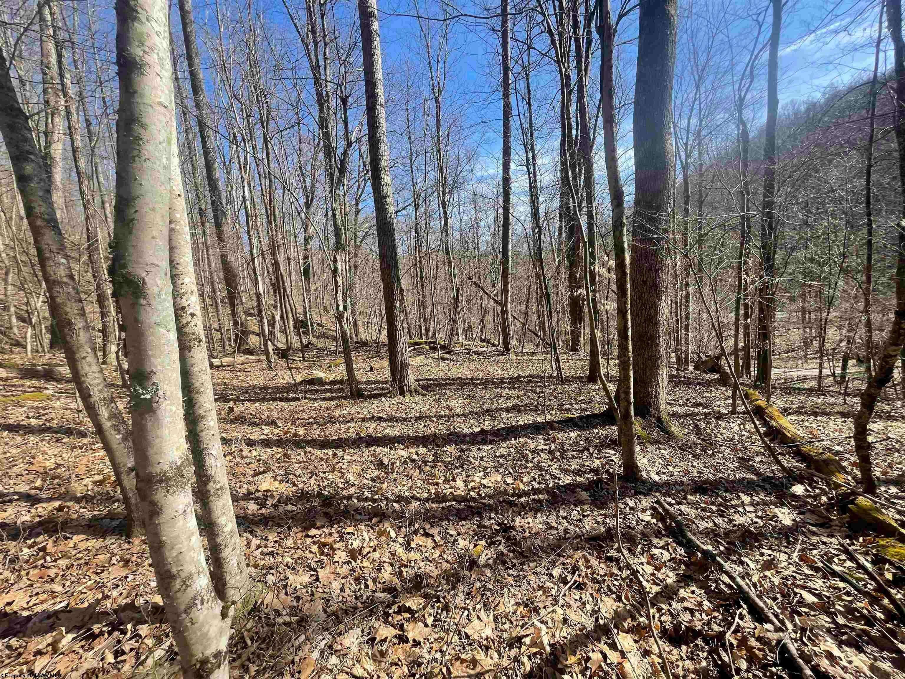 Tbd Jack Hill Road Buckhannon, WV 26201 - Photo 43 of 50 Gallery Image 43