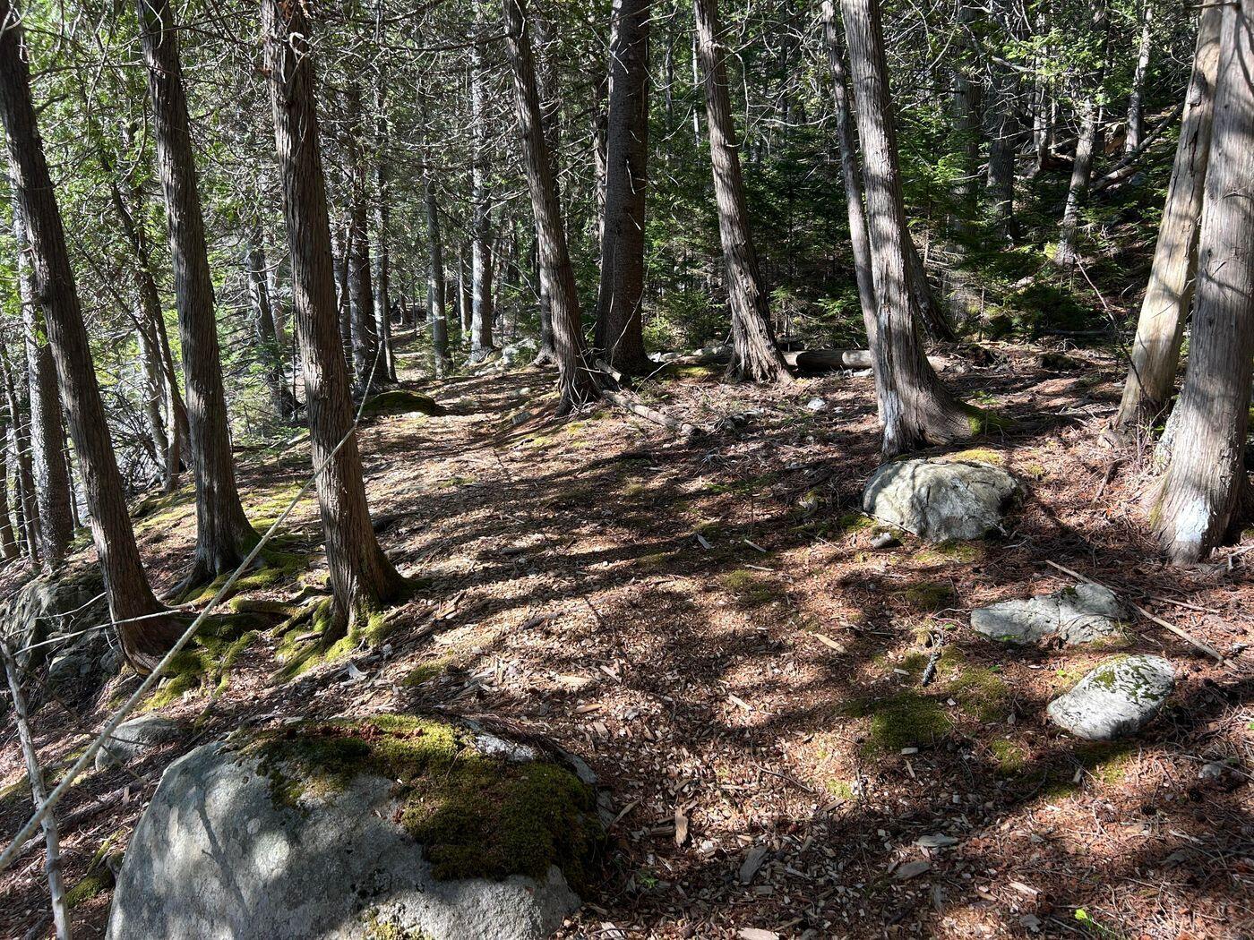 441 Pretty Marsh Road Mount Desert, ME 04660 - Photo 31 of 39 W31-ME3011_13