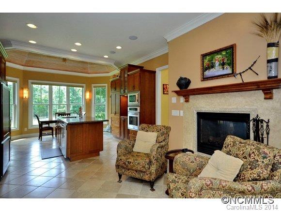 111 Pardo Road Landrum, SC 29356 - Photo 7 of 24 a living room with furniture and a fireplace