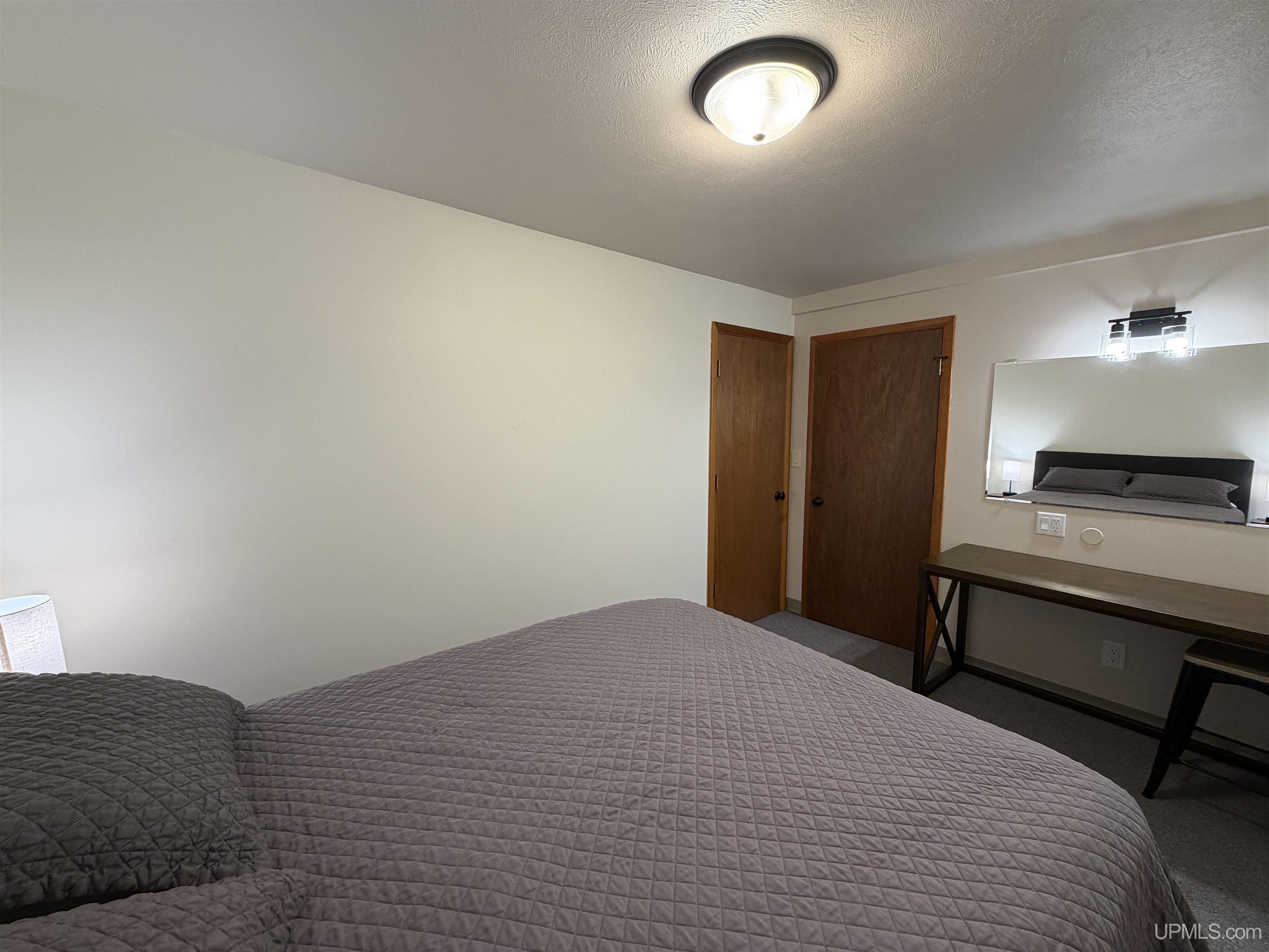 8285 Peter White Road Deerton, MI 49822 - Photo 32 of 67