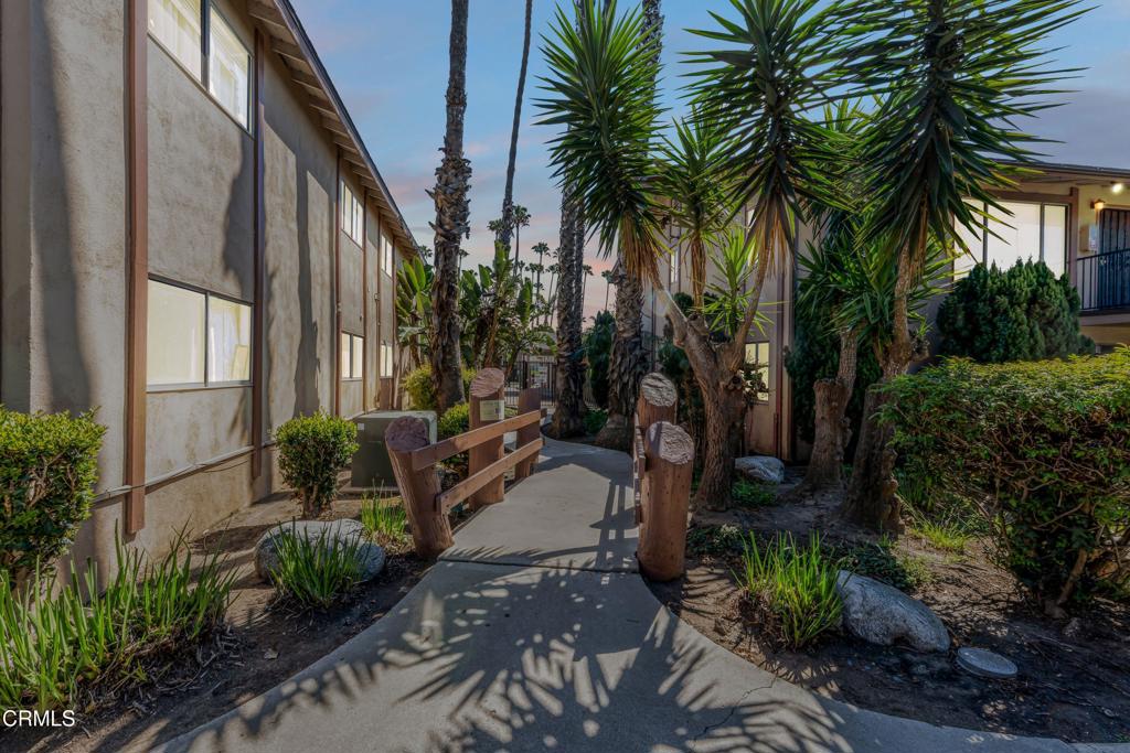 1920 North H Street, Unit 233 Oxnard, CA 93036 - Photo 20 of 26 a couple of palm trees in front of yellow building