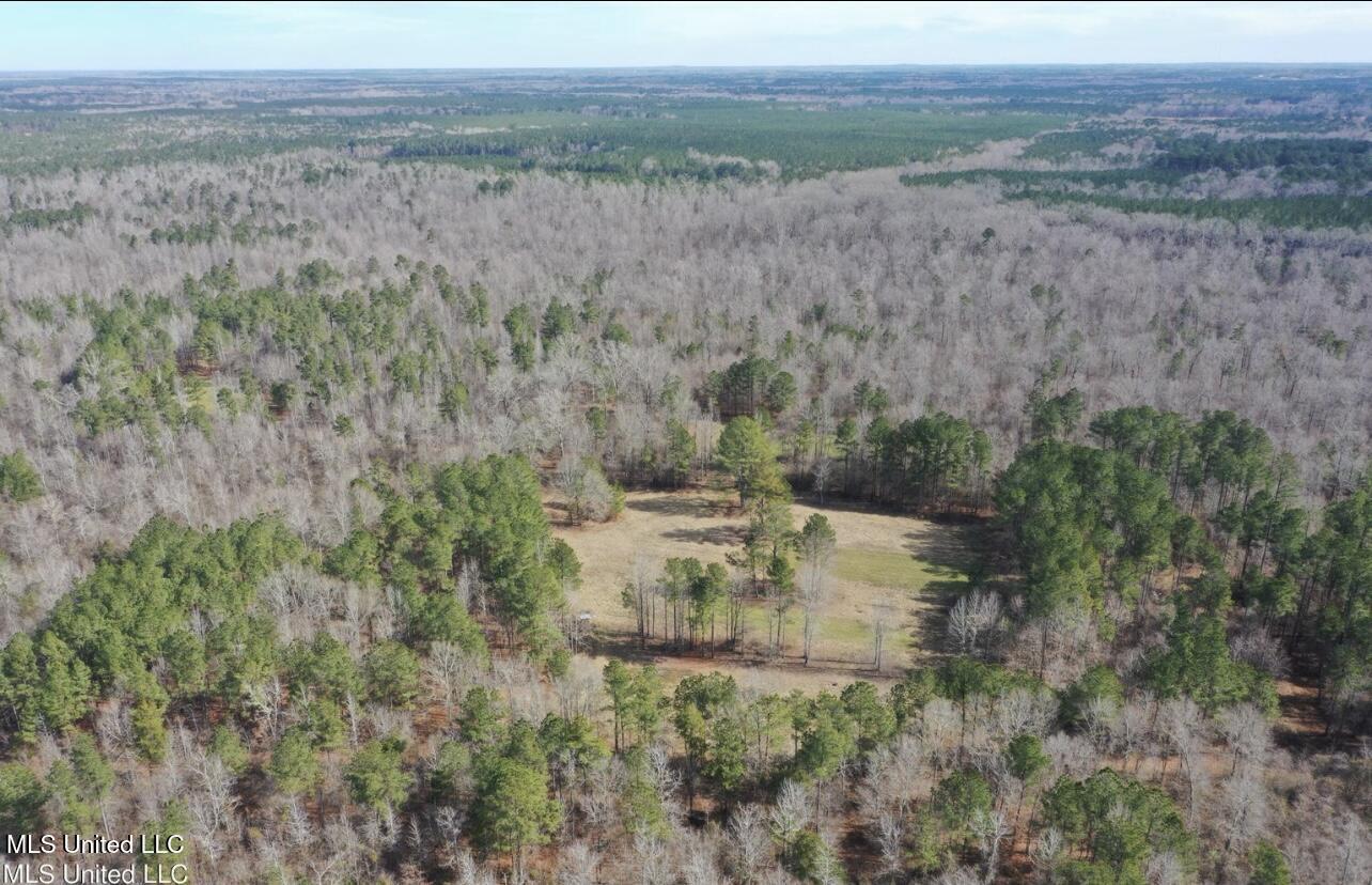 Shiloh Road Brandon, MS 39042 - Photo 11 of 19 IMG_2170