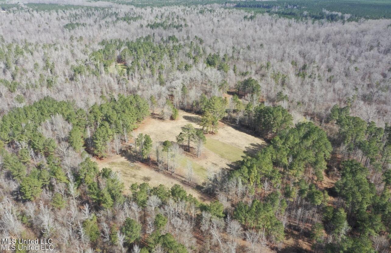 Shiloh Road Brandon, MS 39042 - Photo 12 of 19 IMG_2171