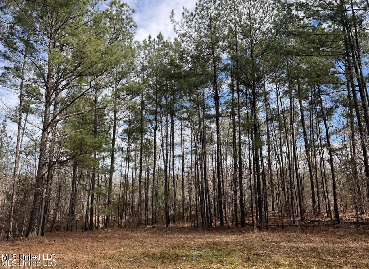 Shiloh Road Brandon, MS 39042 - Photo 13 of 19 IMG_2172