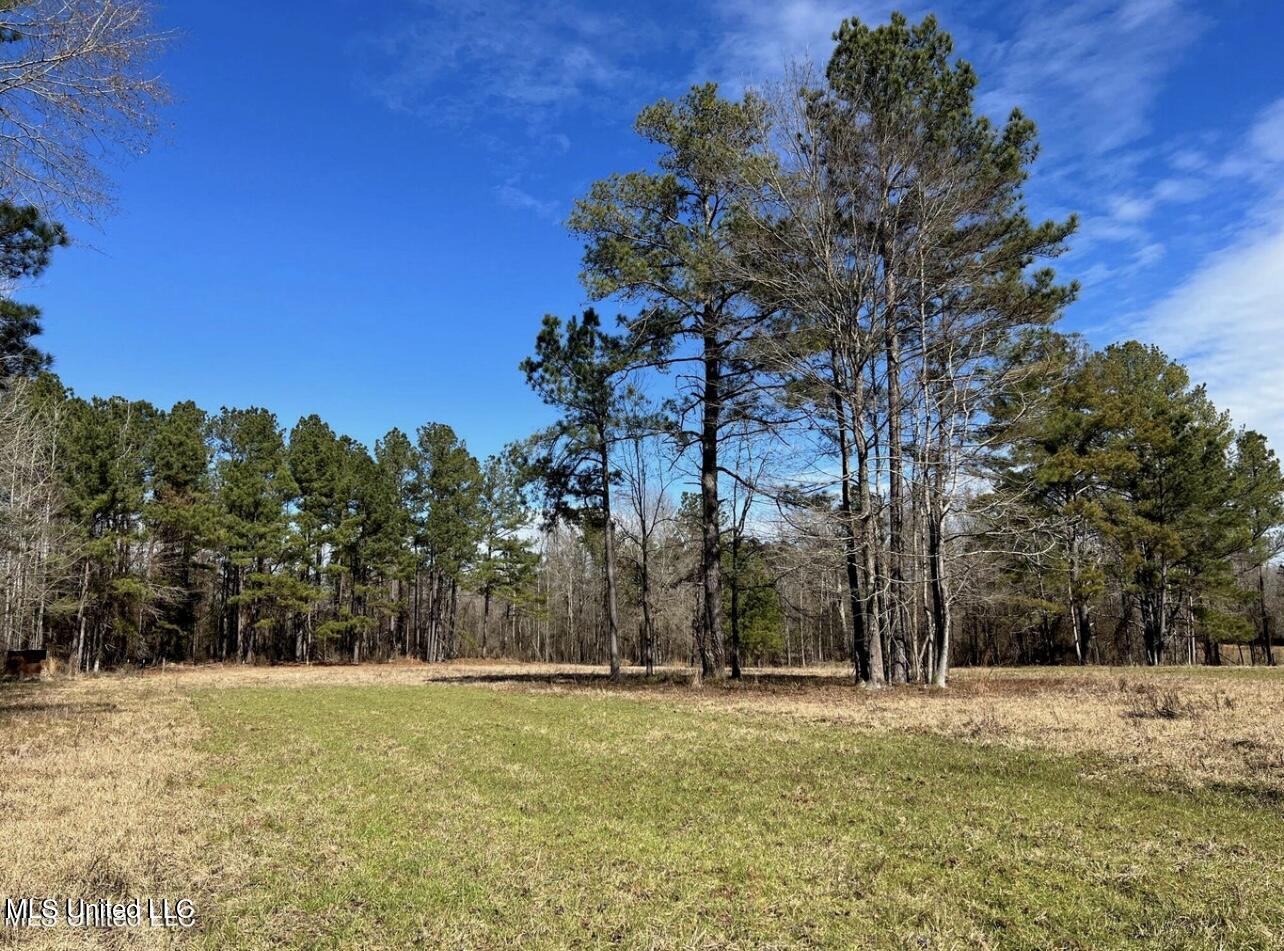Shiloh Road Brandon, MS 39042 - Photo 14 of 19 IMG_2173