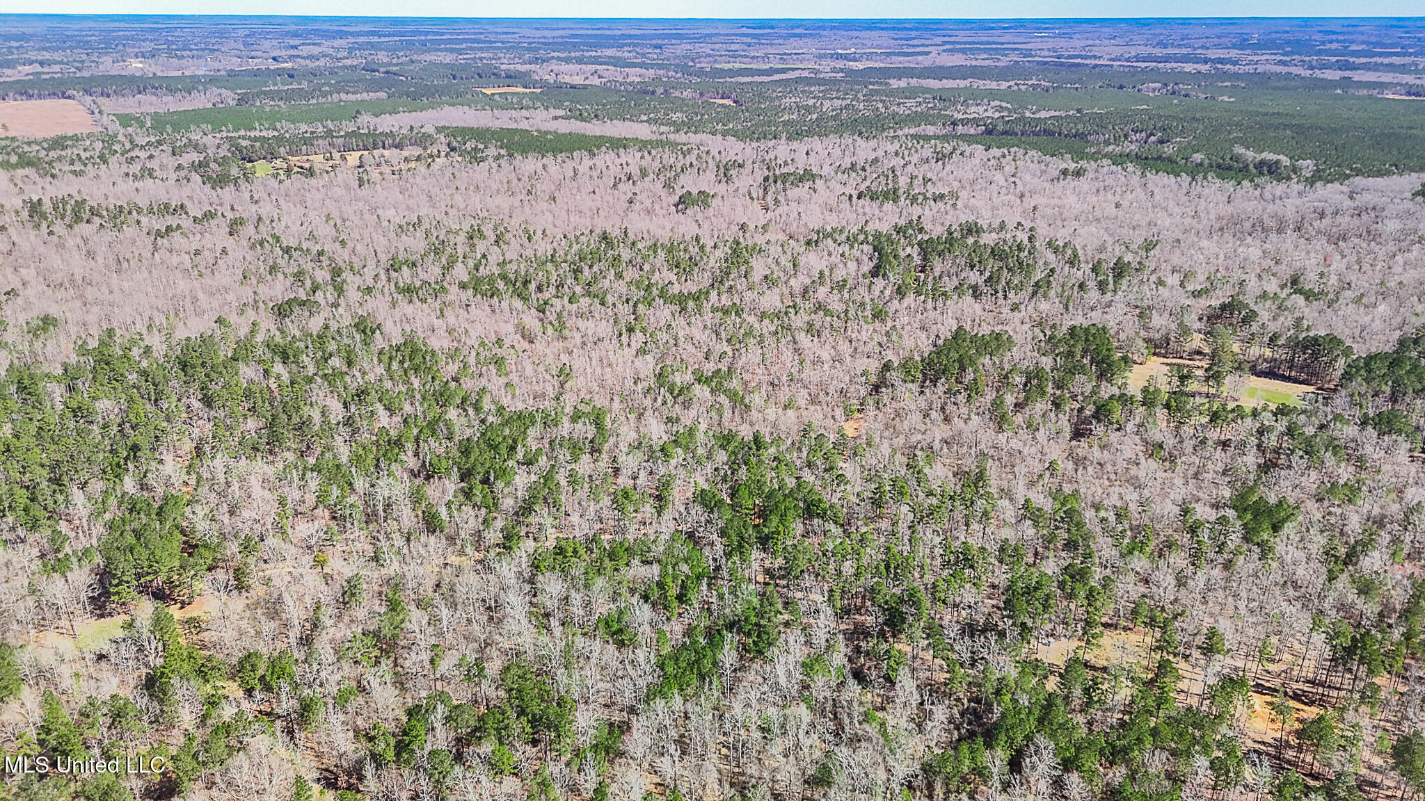 Shiloh Road Brandon, MS 39042 - Photo 17 of 19 Shiloh 400 acre 3