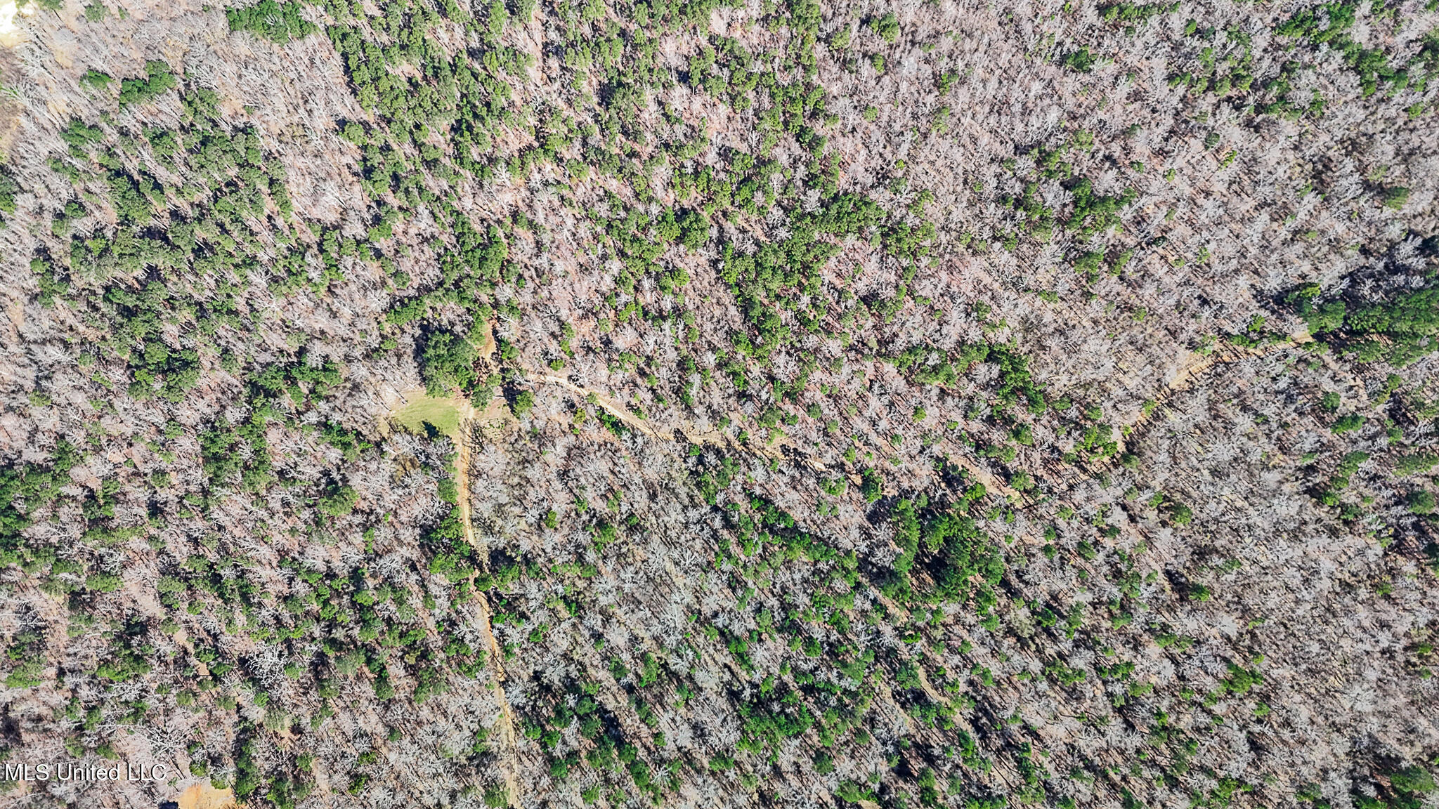 Shiloh Road Brandon, MS 39042 - Photo 19 of 19 Shiloh 400 acre 5